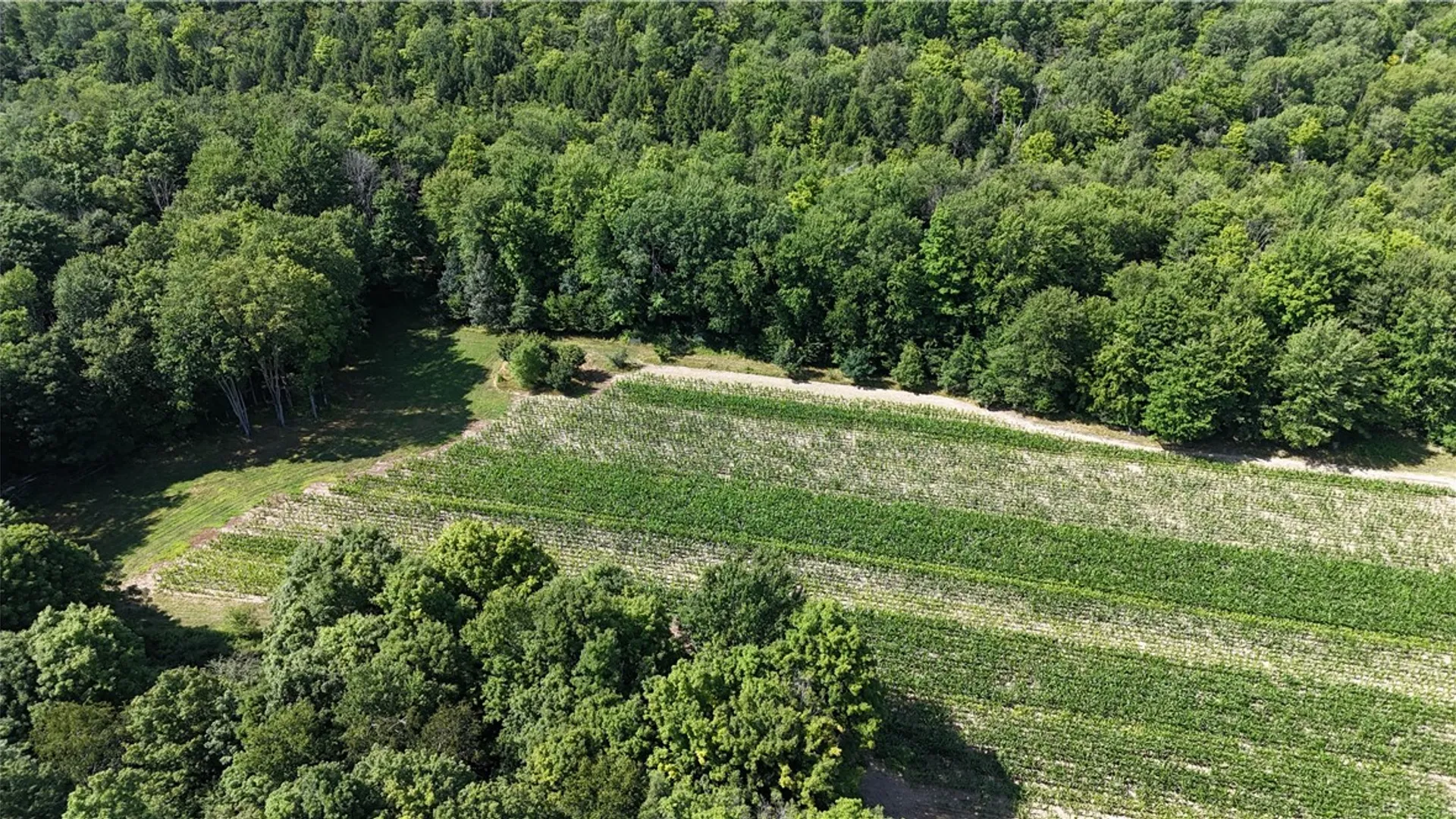 Property at 5132 County Route 25, Cameron, NY 14820 31