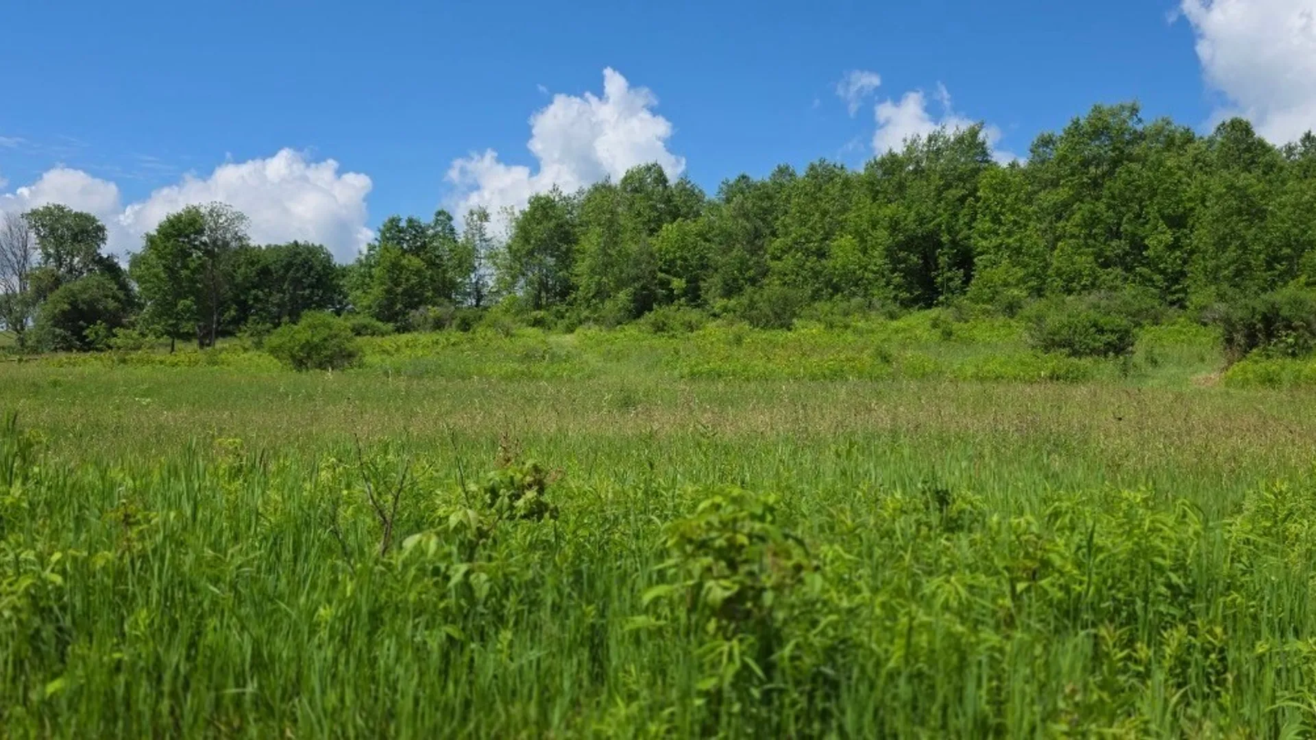 Property at 1252 North Road, Tully, NY 13159 47