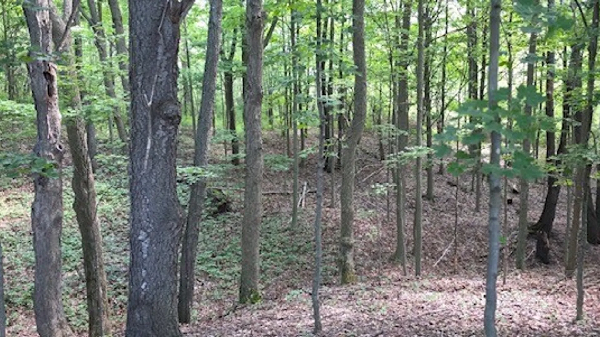 Property at 1252 North Road, Tully, NY 13159 48