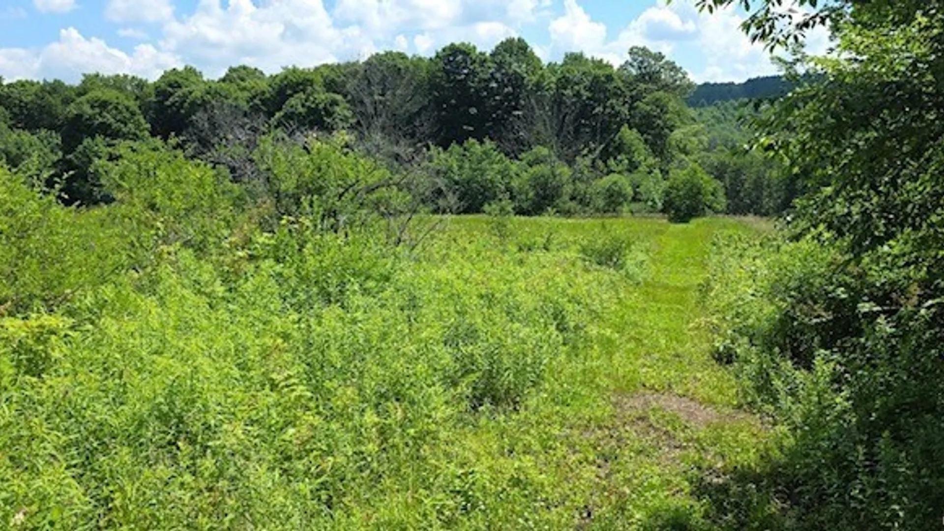 Property at 1252 North Road, Tully, NY 13159 44