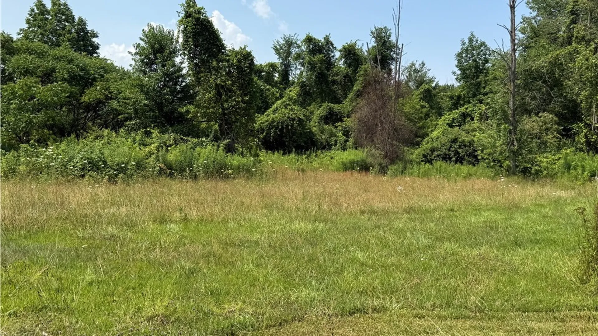 Property at 8935 Eddy Rd, Sullivan, NY 13037 23