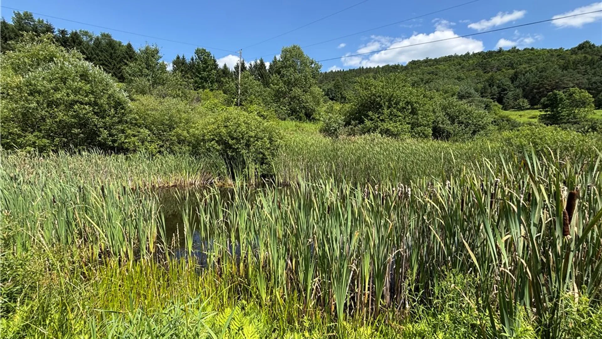 Property at 304 Cooper Road, Middlefield, NY 13326 2