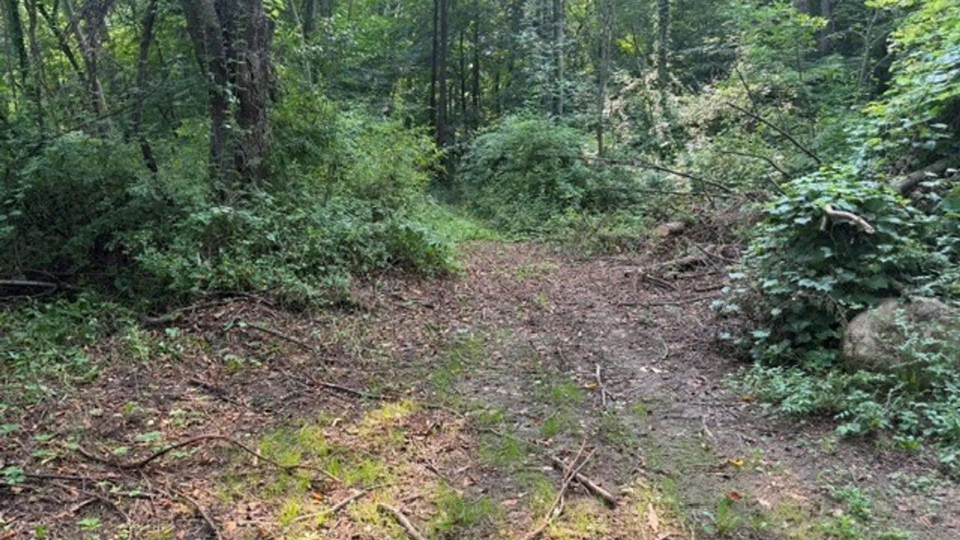 Property at Maple Ridge Rd, Arcadia, NY 14513 15