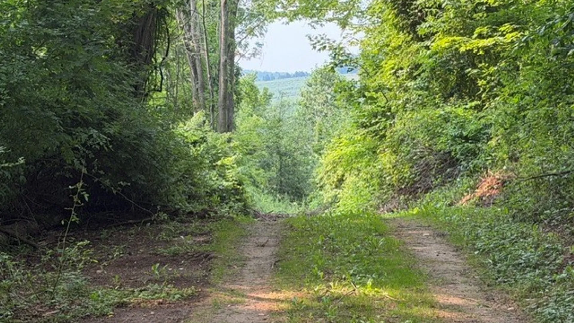 Property at Maple Ridge Rd, Arcadia, NY 14513 16