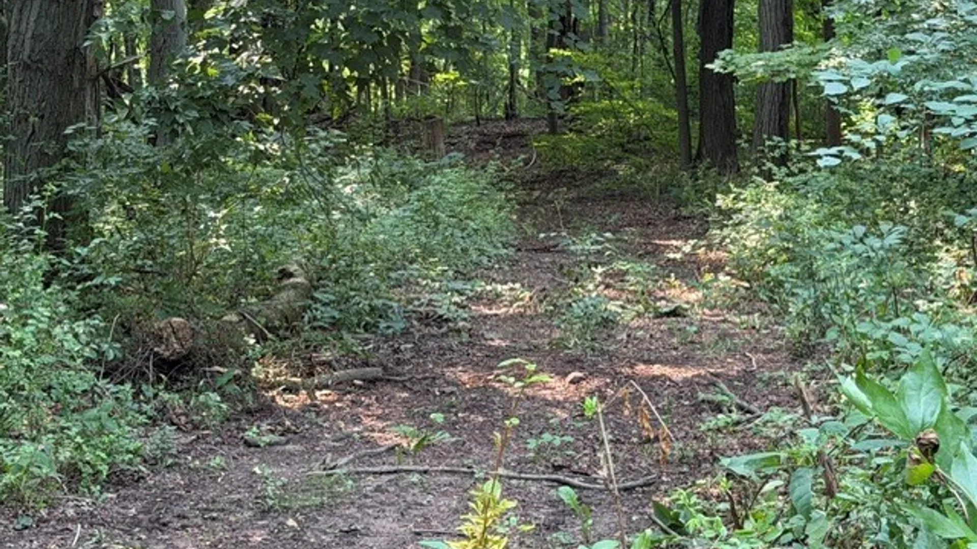 Property at Maple Ridge Rd, Arcadia, NY 14513 18