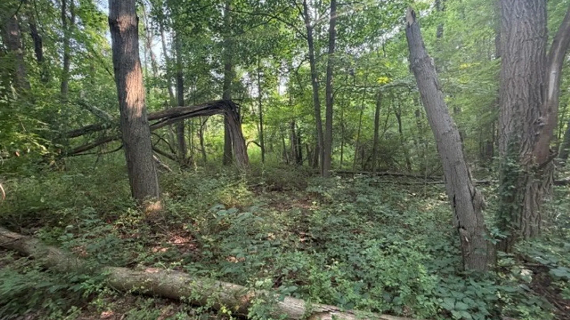 Property at Maple Ridge Rd, Arcadia, NY 14513 19
