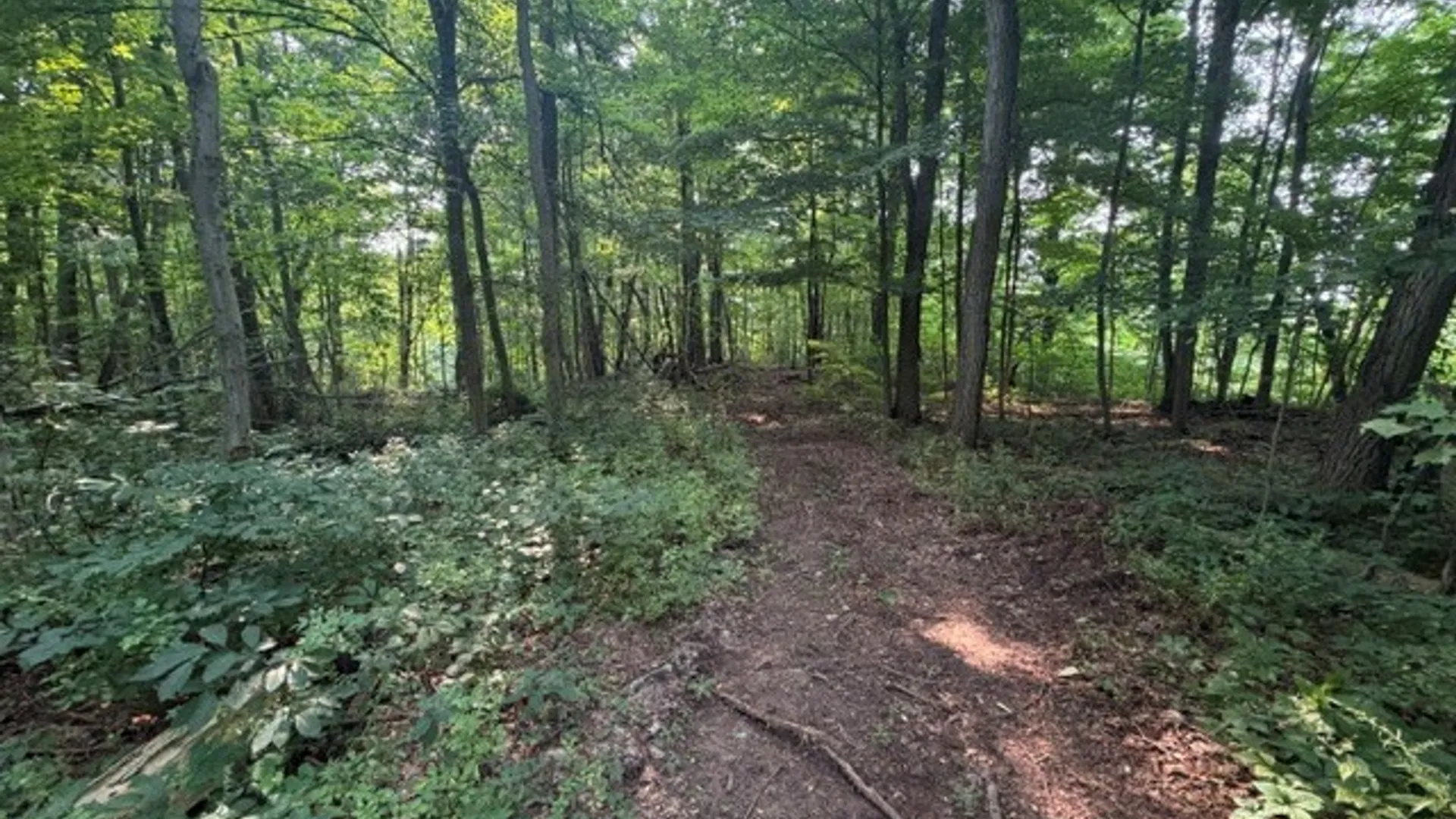 Property at Maple Ridge Rd, Arcadia, NY 14513 20