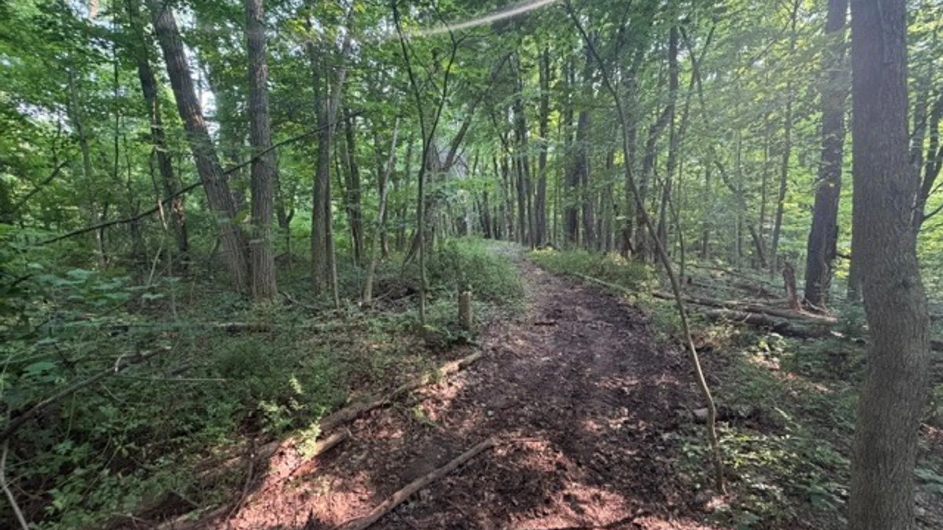 Property at Maple Ridge Rd, Arcadia, NY 14513 21