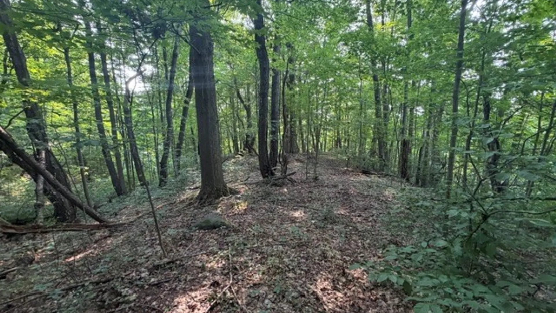 Property at Maple Ridge Rd, Arcadia, NY 14513 22
