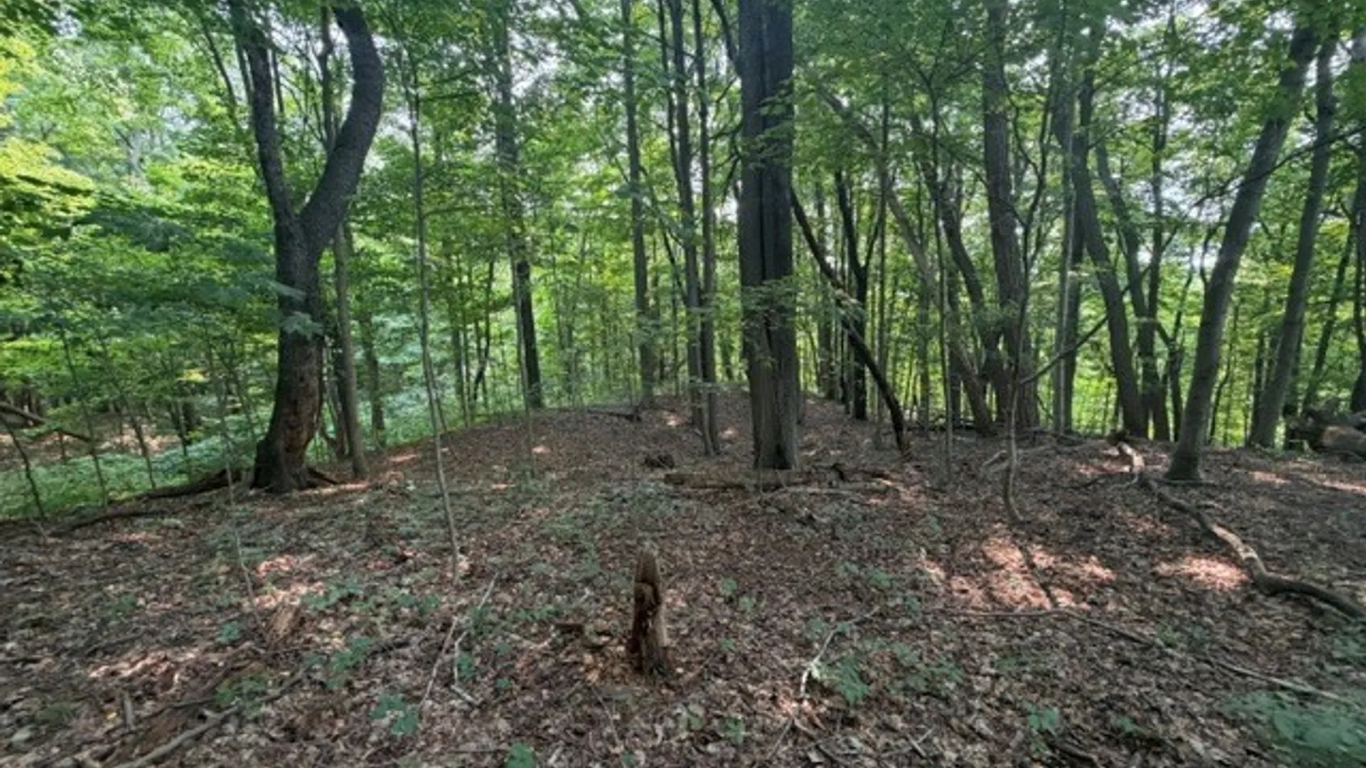 Property at Maple Ridge Rd, Arcadia, NY 14513 23