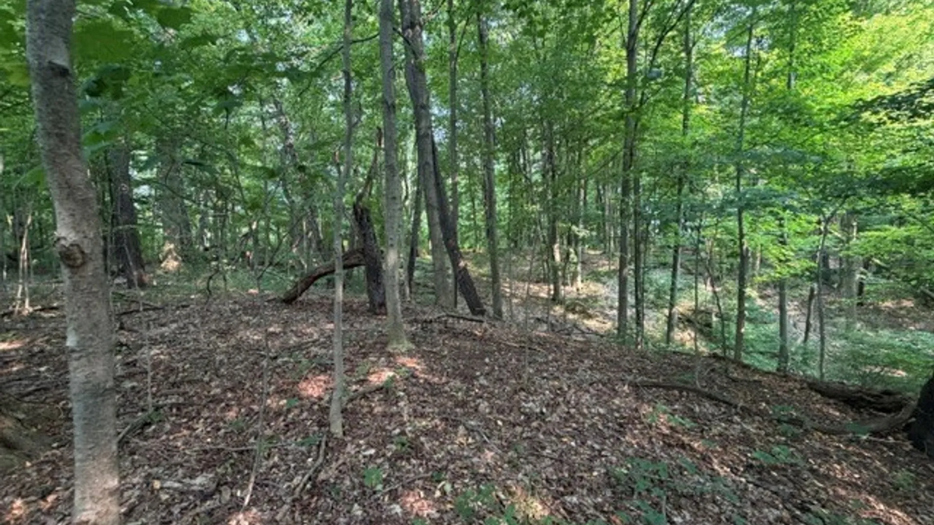 Property at Maple Ridge Rd, Arcadia, NY 14513 25