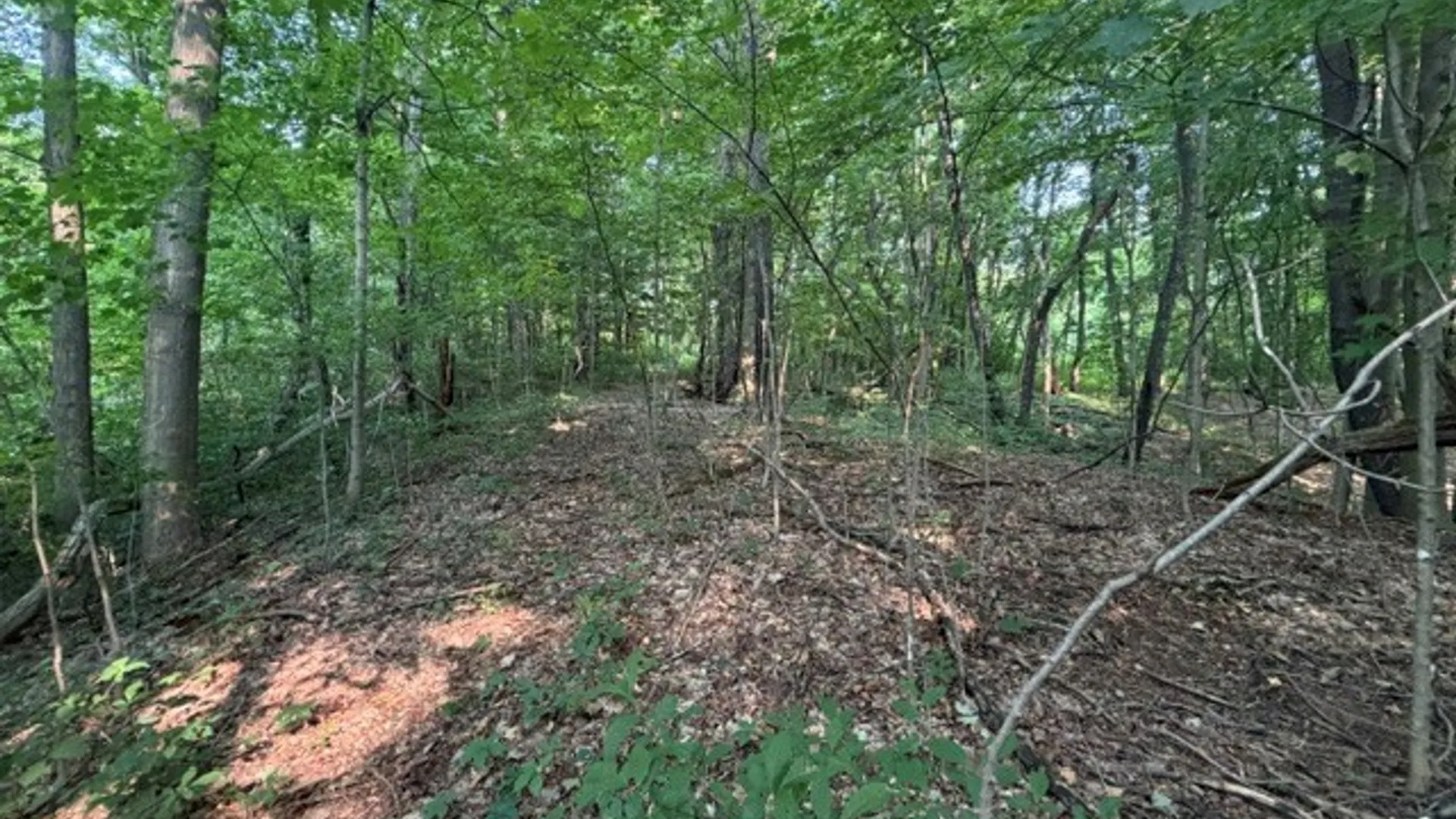 Property at Maple Ridge Rd, Arcadia, NY 14513 26