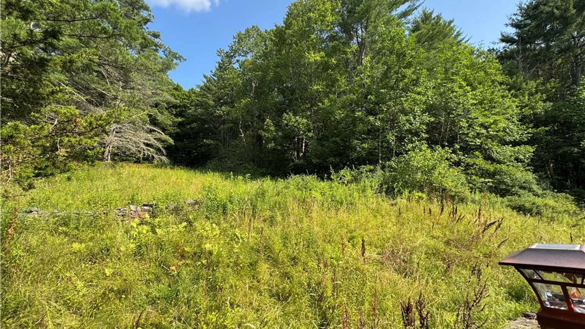 Property at 212 Lower Green Street, Otego, NY 13825 7