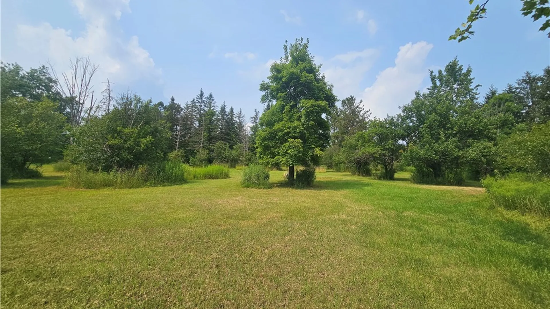Property at 3649 Wenrick Hill Road, Franklinville, NY 14737 21