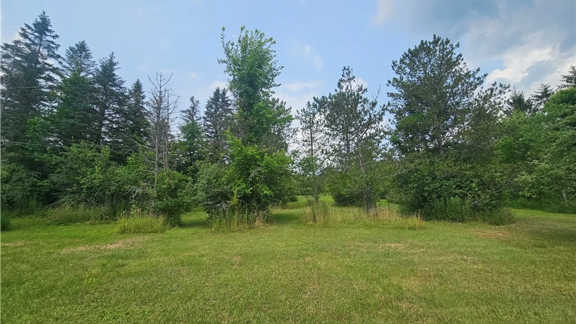 Property at 3649 Wenrick Hill Road, Franklinville, NY 14737 22