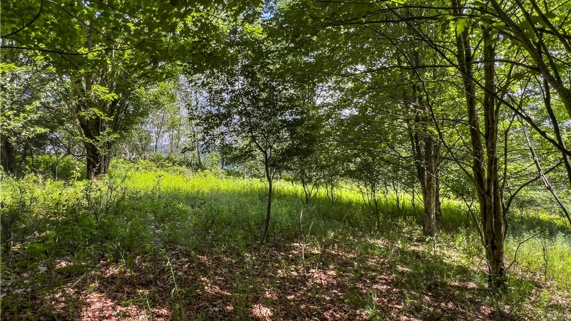 Property at Lot 23 Lynch Road, Delhi, NY 13753 13