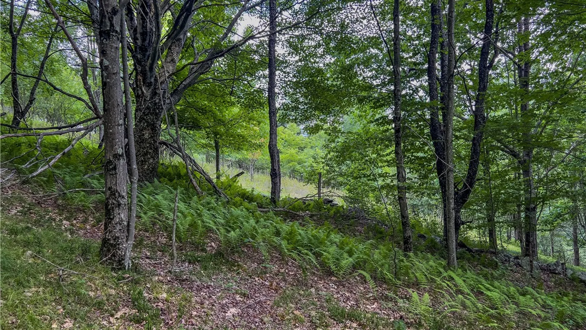 Property at Lot 23 Lynch Road, Delhi, NY 13753 16