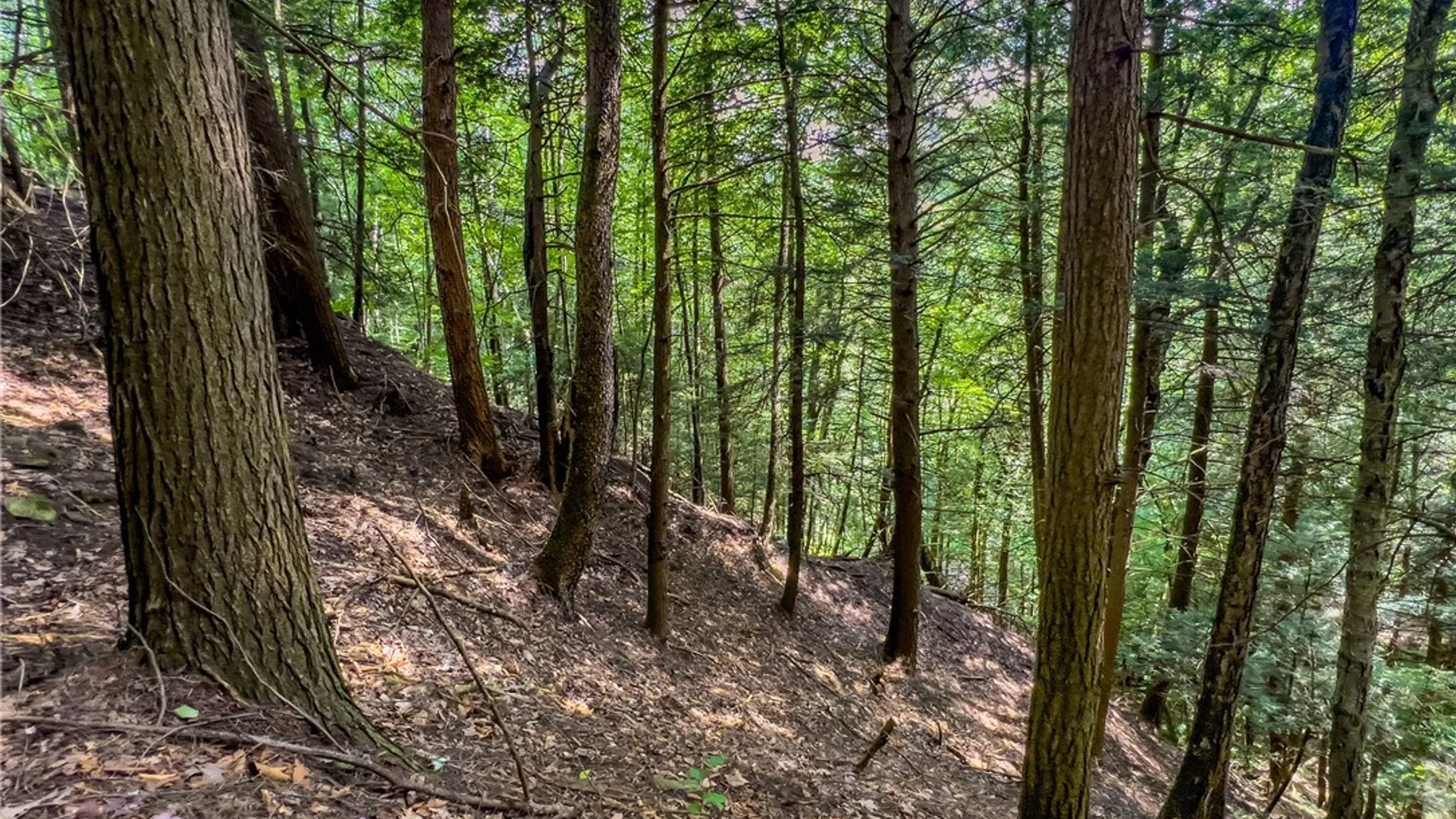 Property at Lot 23 Lynch Road, Delhi, NY 13753 30