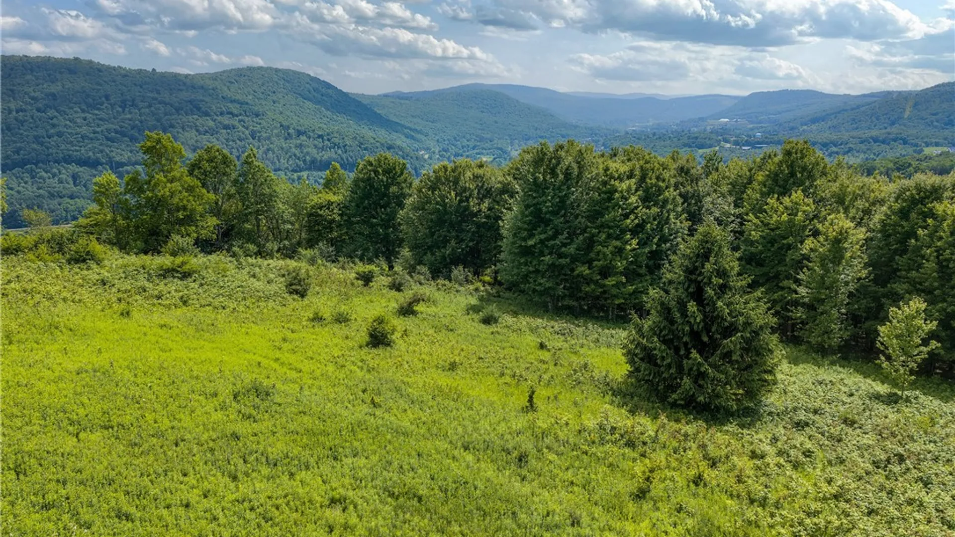 Property at Lot 23 Lynch Road, Delhi, NY 13753 2