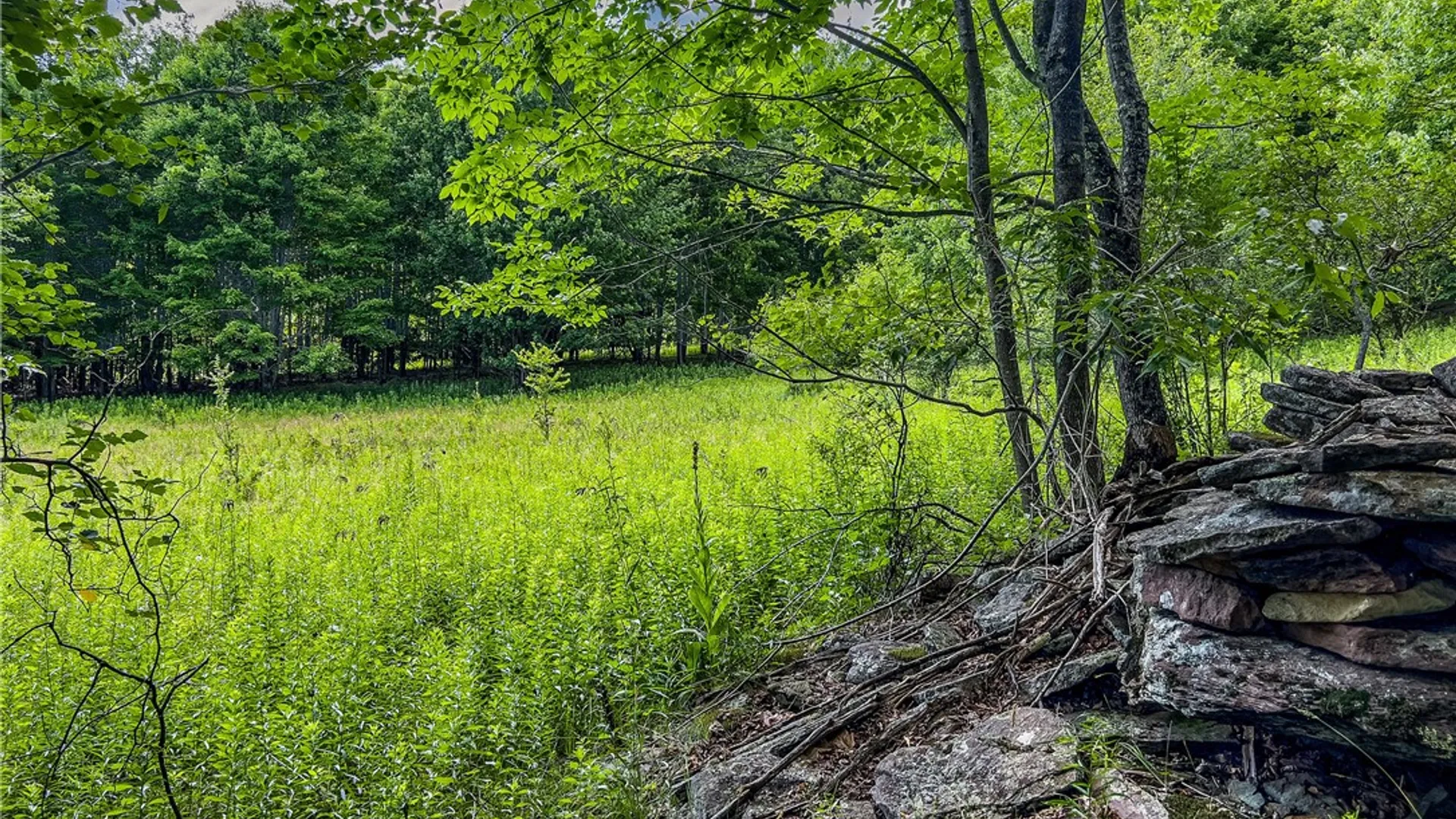 Property at Lot 23 Lynch Road, Delhi, NY 13753 19