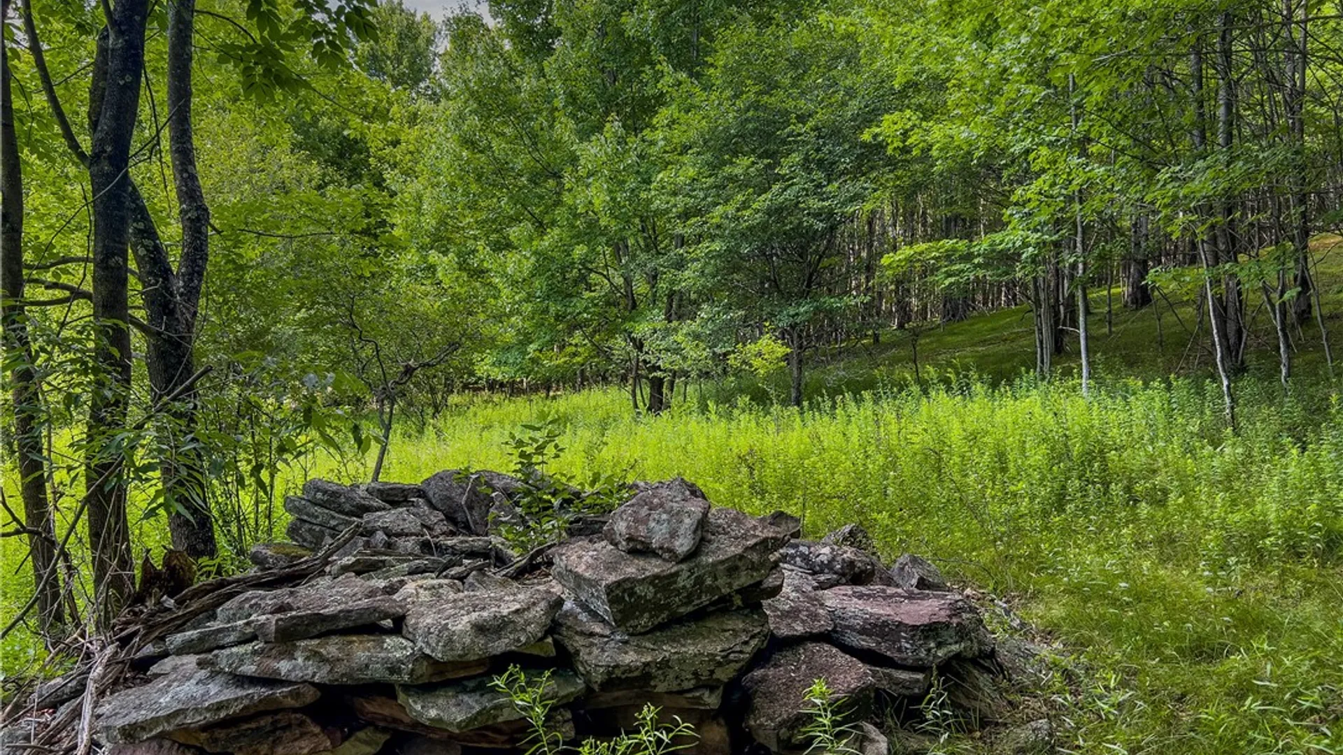 Property at Lot 23 Lynch Road, Delhi, NY 13753 20