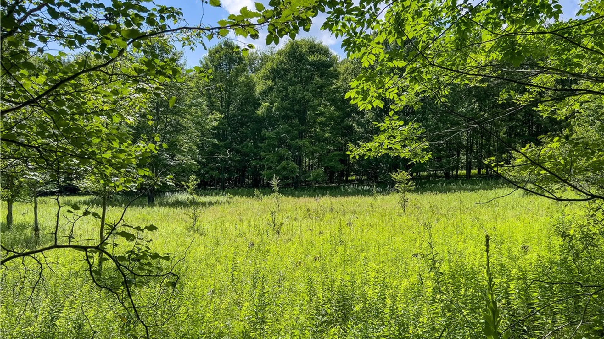Property at Lot 23 Lynch Road, Delhi, NY 13753 21