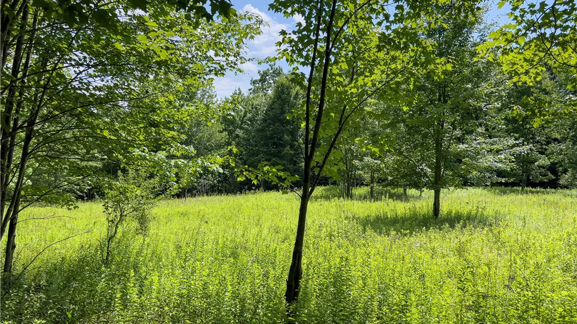 Property at Lot 23 Lynch Road, Delhi, NY 13753 22