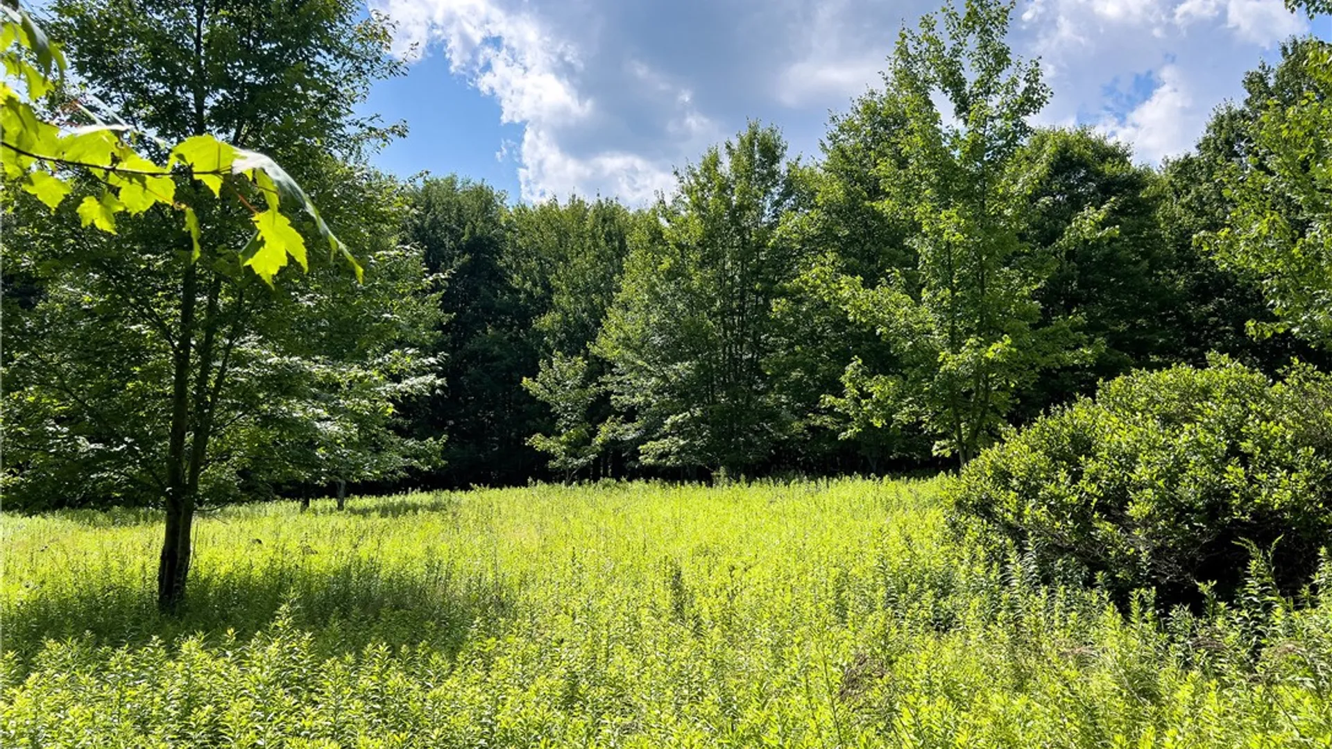 Property at Lot 23 Lynch Road, Delhi, NY 13753 23