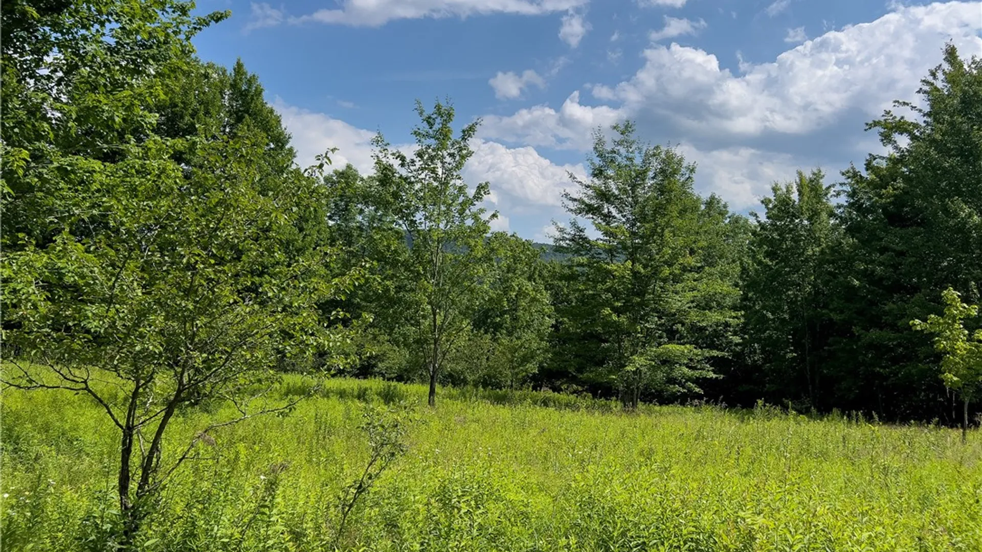 Property at Lot 23 Lynch Road, Delhi, NY 13753 24