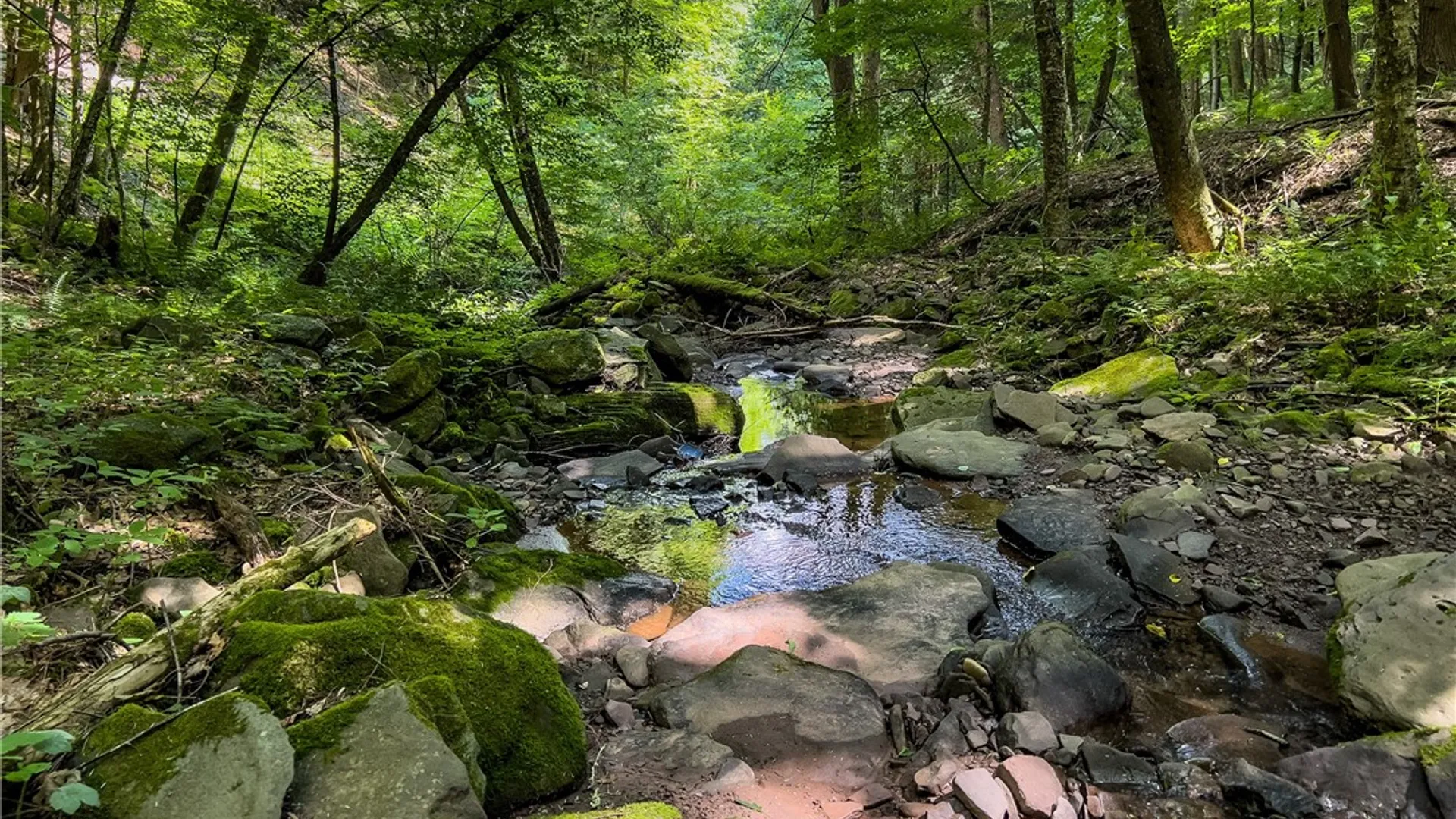 Property at Lot 23 Lynch Road, Delhi, NY 13753 33