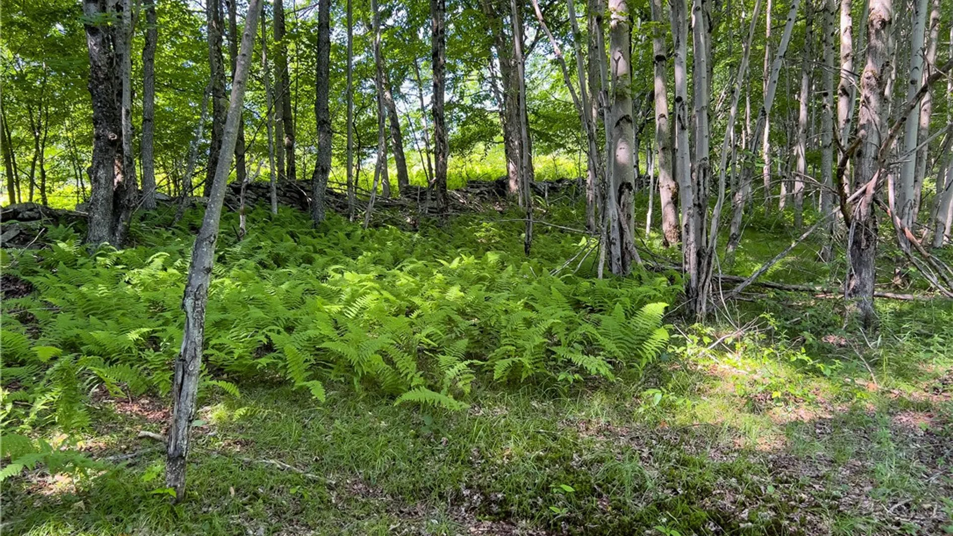 Property at Lot 23 Lynch Road, Delhi, NY 13753 49