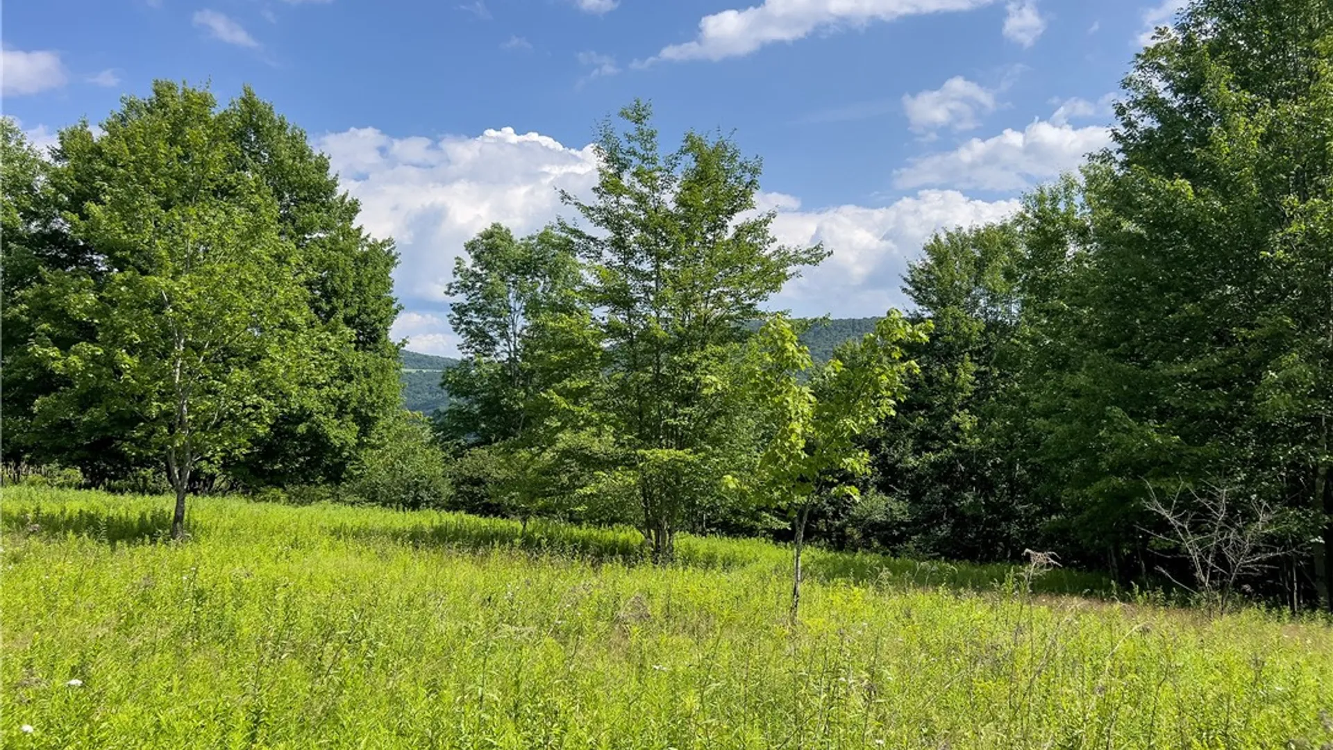 Property at Lot 23 Lynch Road, Delhi, NY 13753 25