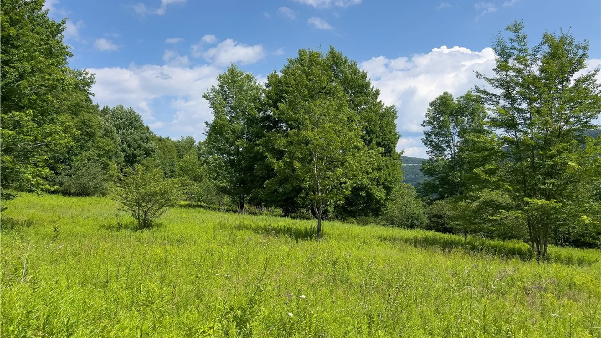 Property at Lot 23 Lynch Road, Delhi, NY 13753 26