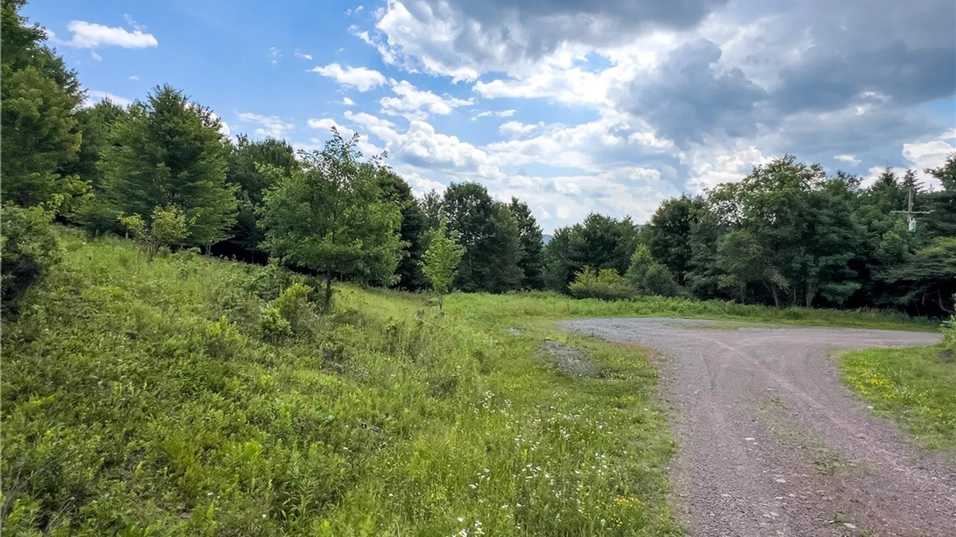 Property at Lot 23 Lynch Road, Delhi, NY 13753 3