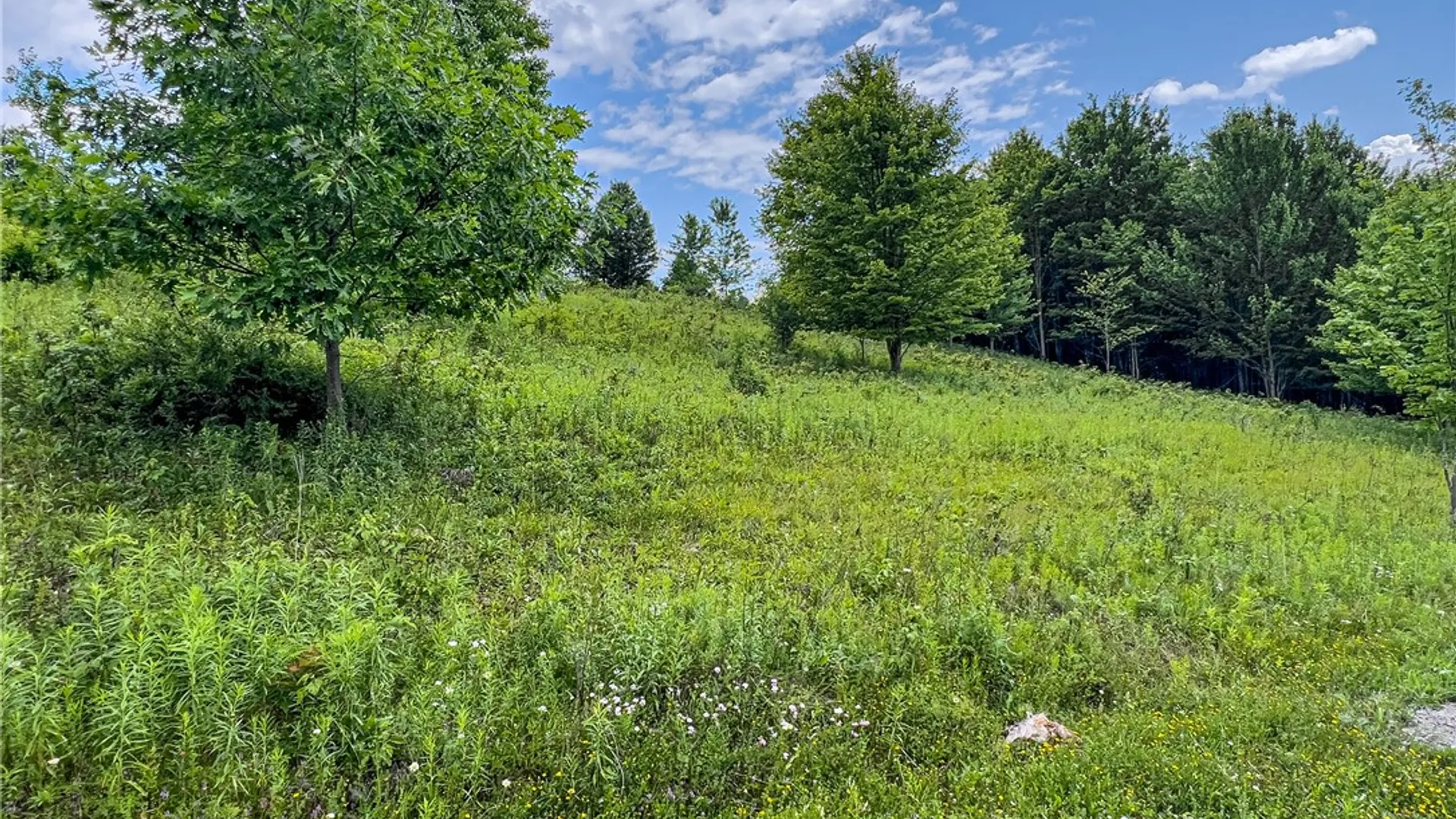 Property at Lot 23 Lynch Road, Delhi, NY 13753 4
