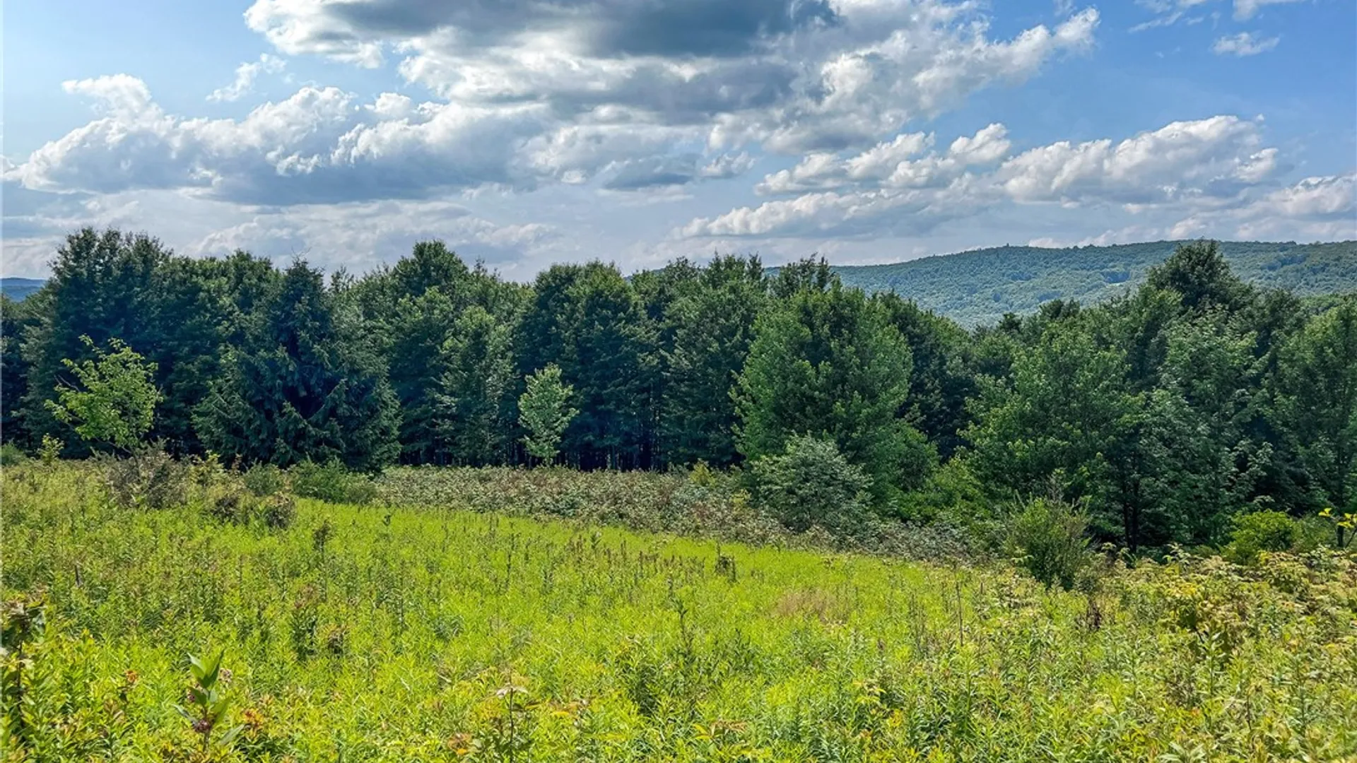 Property at Lot 23 Lynch Road, Delhi, NY 13753 5