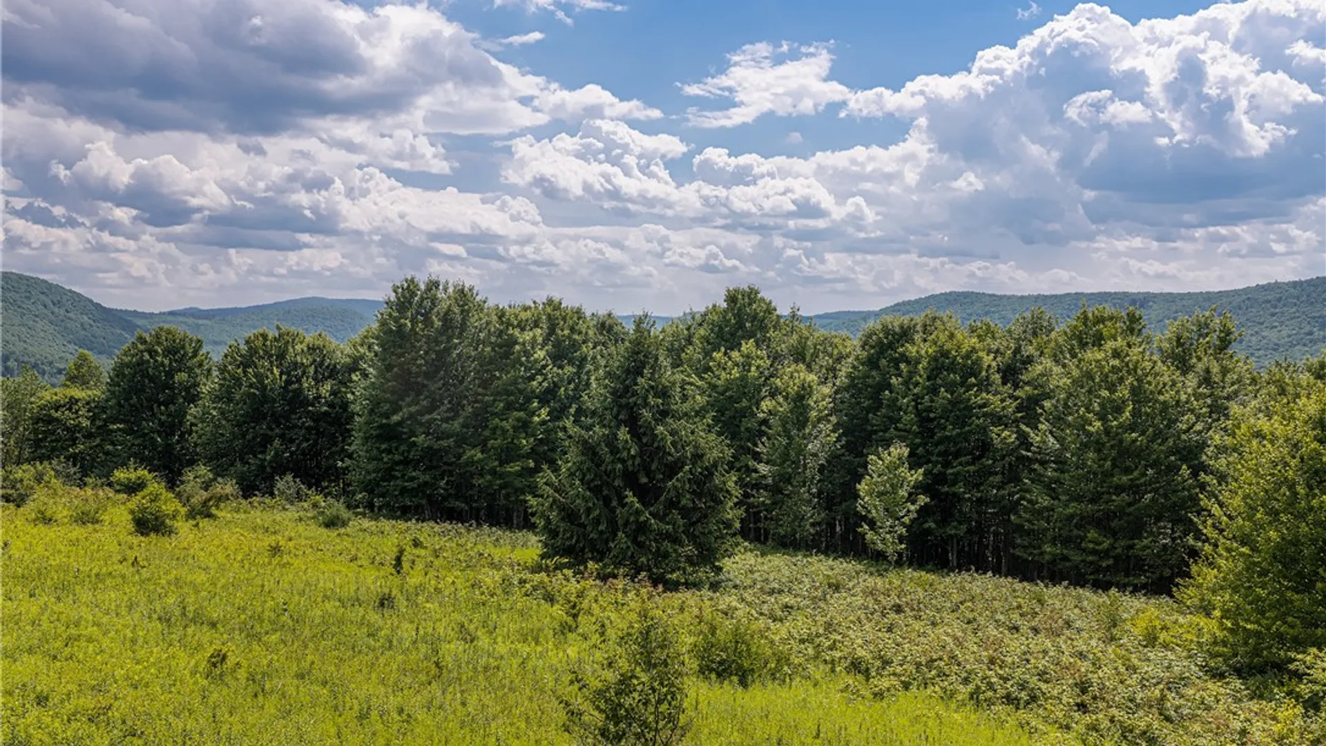Property at Lot 23 Lynch Road, Delhi, NY 13753 6