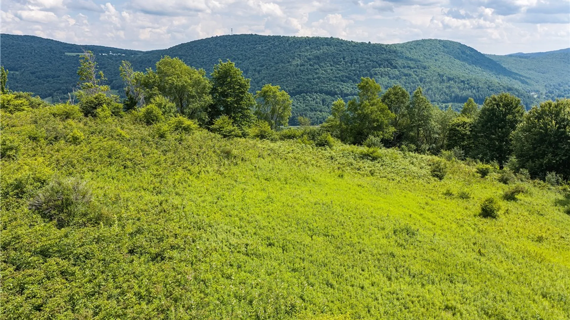 Property at Lot 23 Lynch Road, Delhi, NY 13753 7