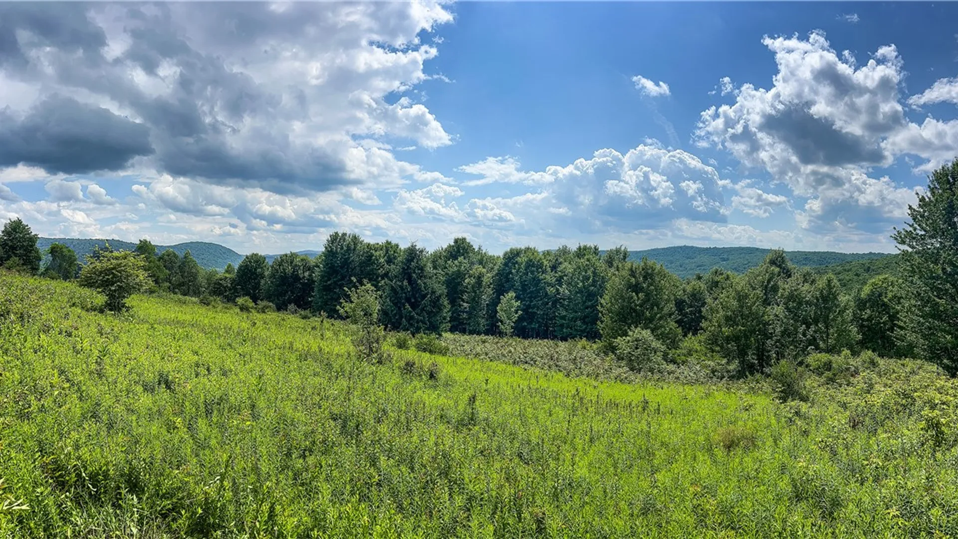 Property at Lot 23 Lynch Road, Delhi, NY 13753 8