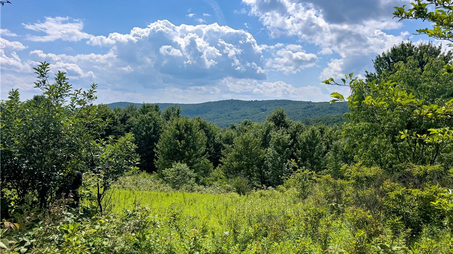 Property at Lot 23 Lynch Road, Delhi, NY 13753 9