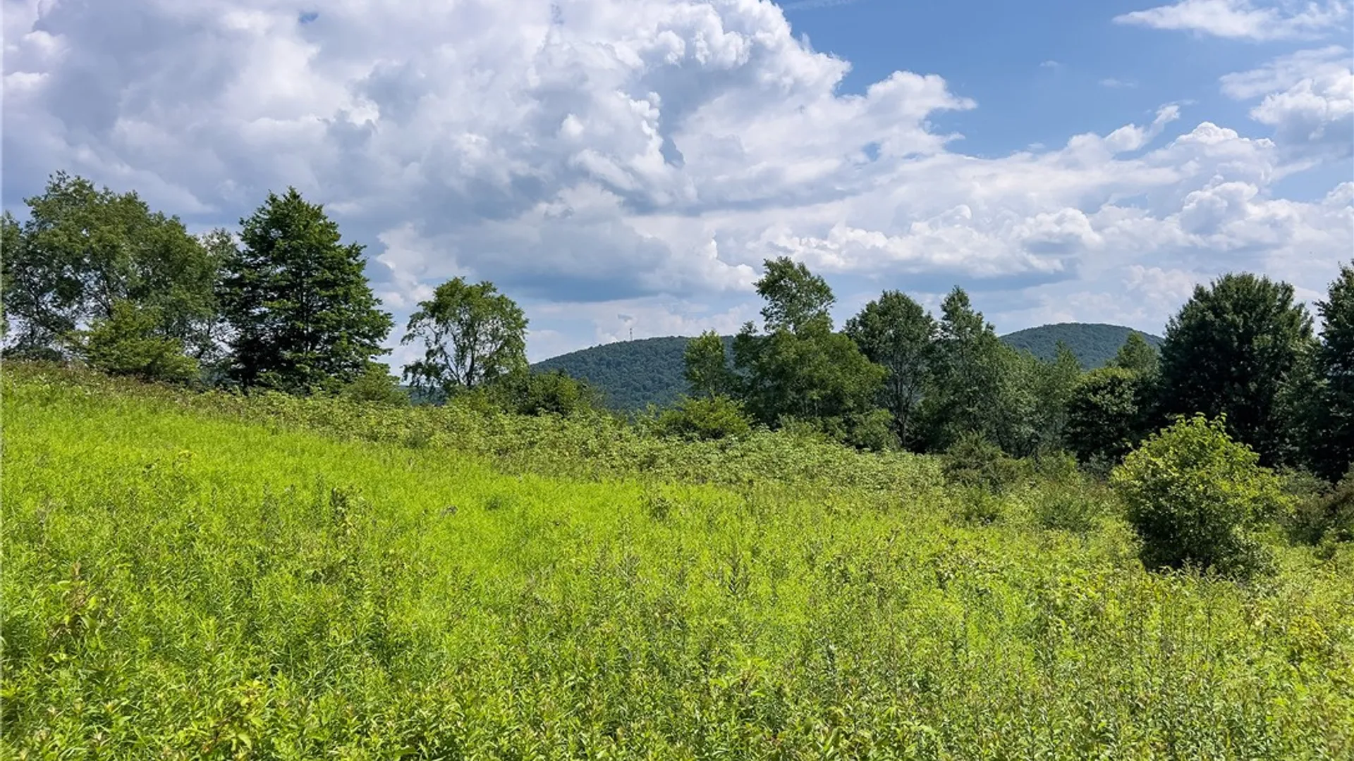 Property at Lot 23 Lynch Road, Delhi, NY 13753 10