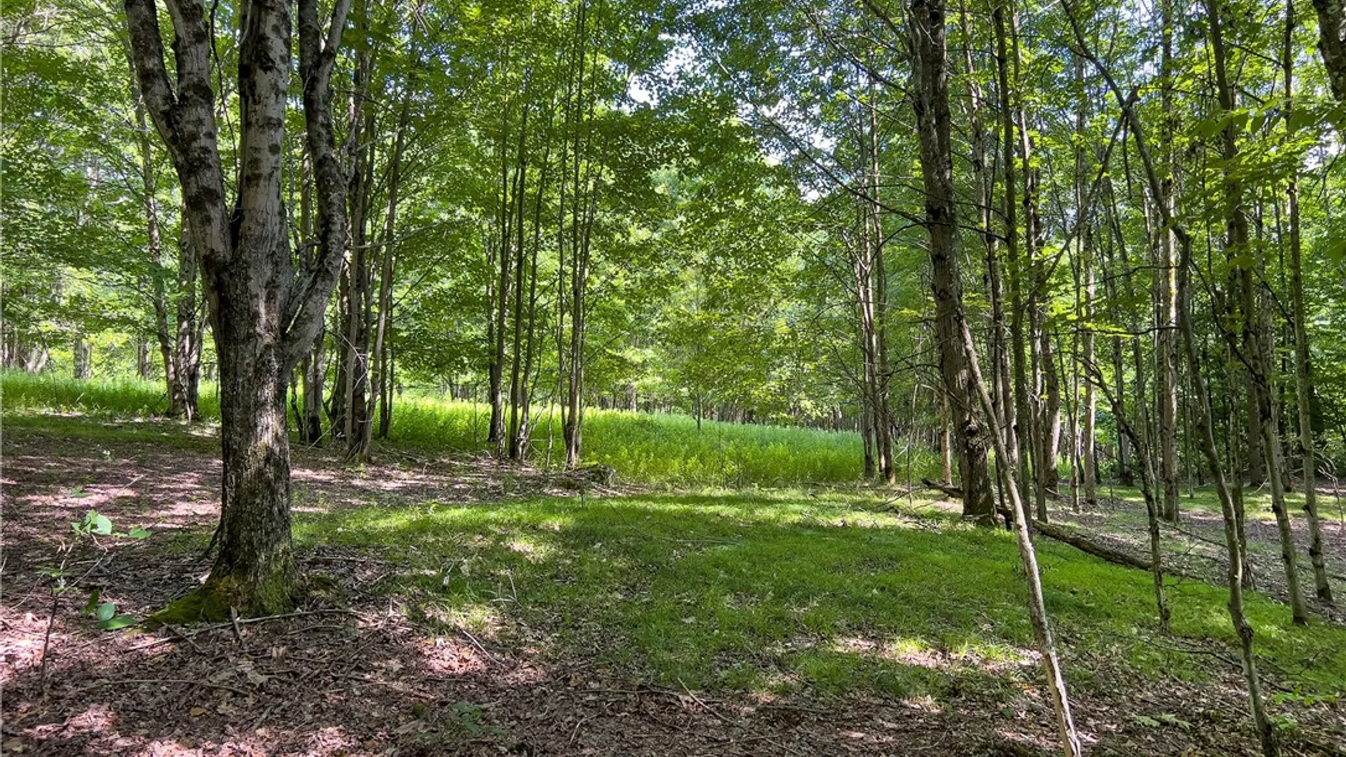 Property at Lot 23 Lynch Road, Delhi, NY 13753 47