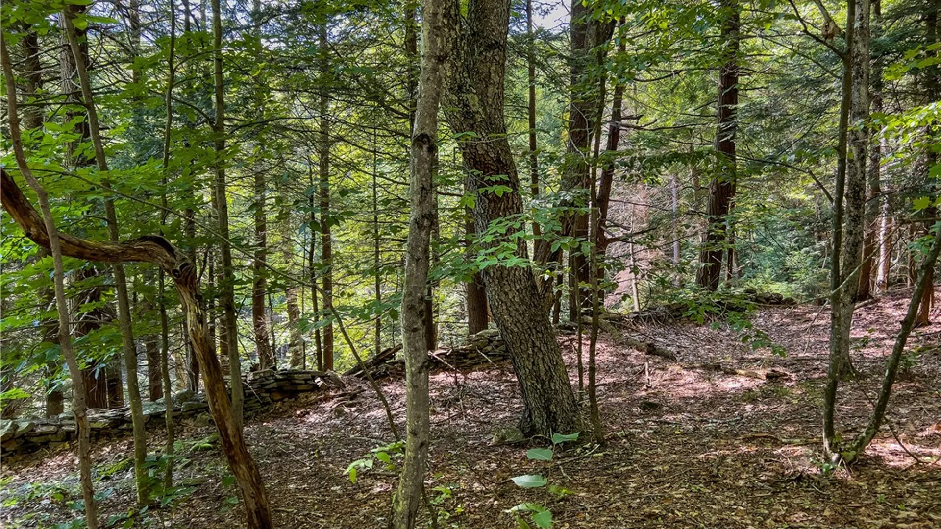 Property at Lot 23 Lynch Road, Delhi, NY 13753 48