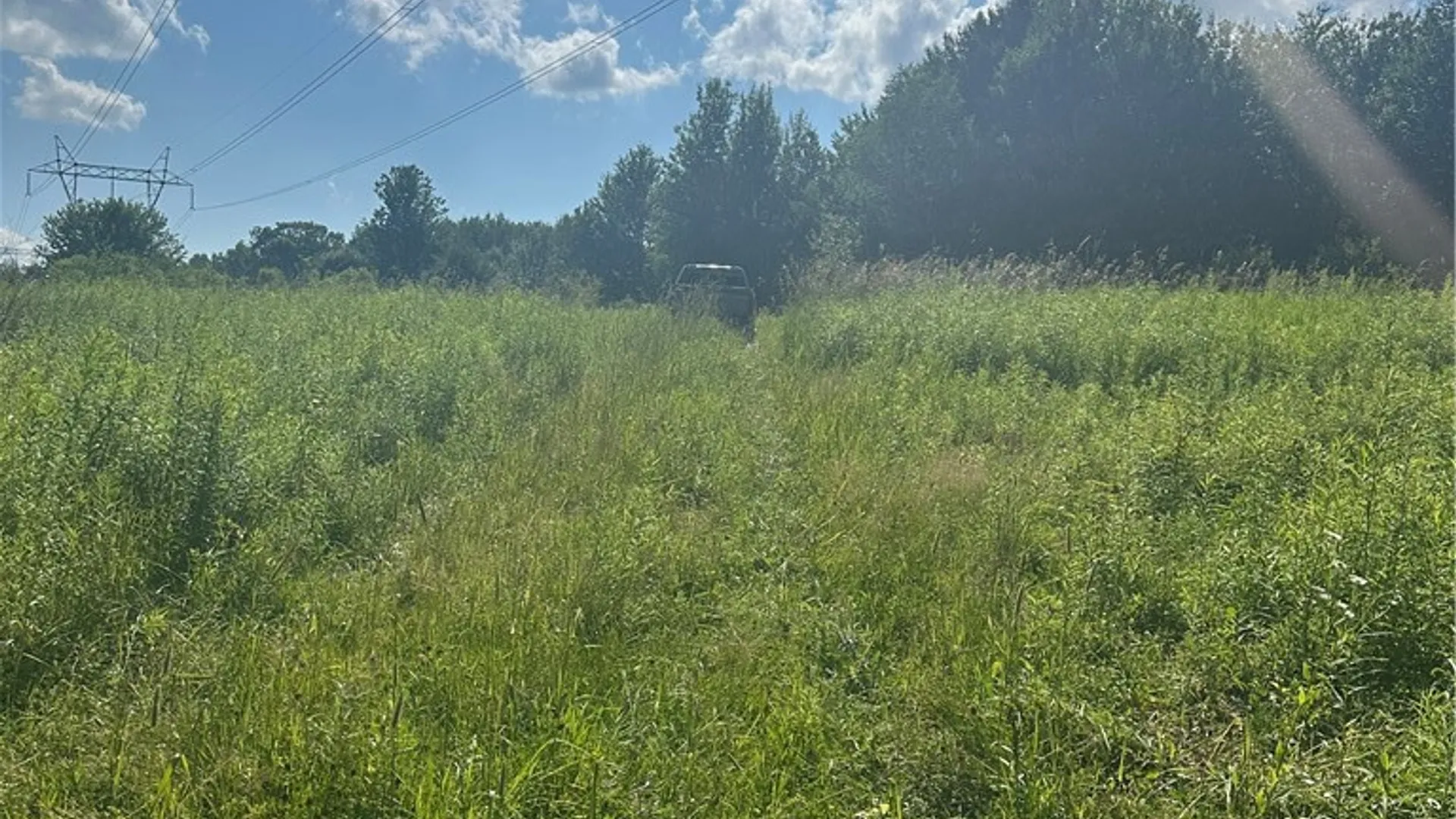 Property at Lot 173.-3-7 Guinea Road, Gilboa, NY 12076 4