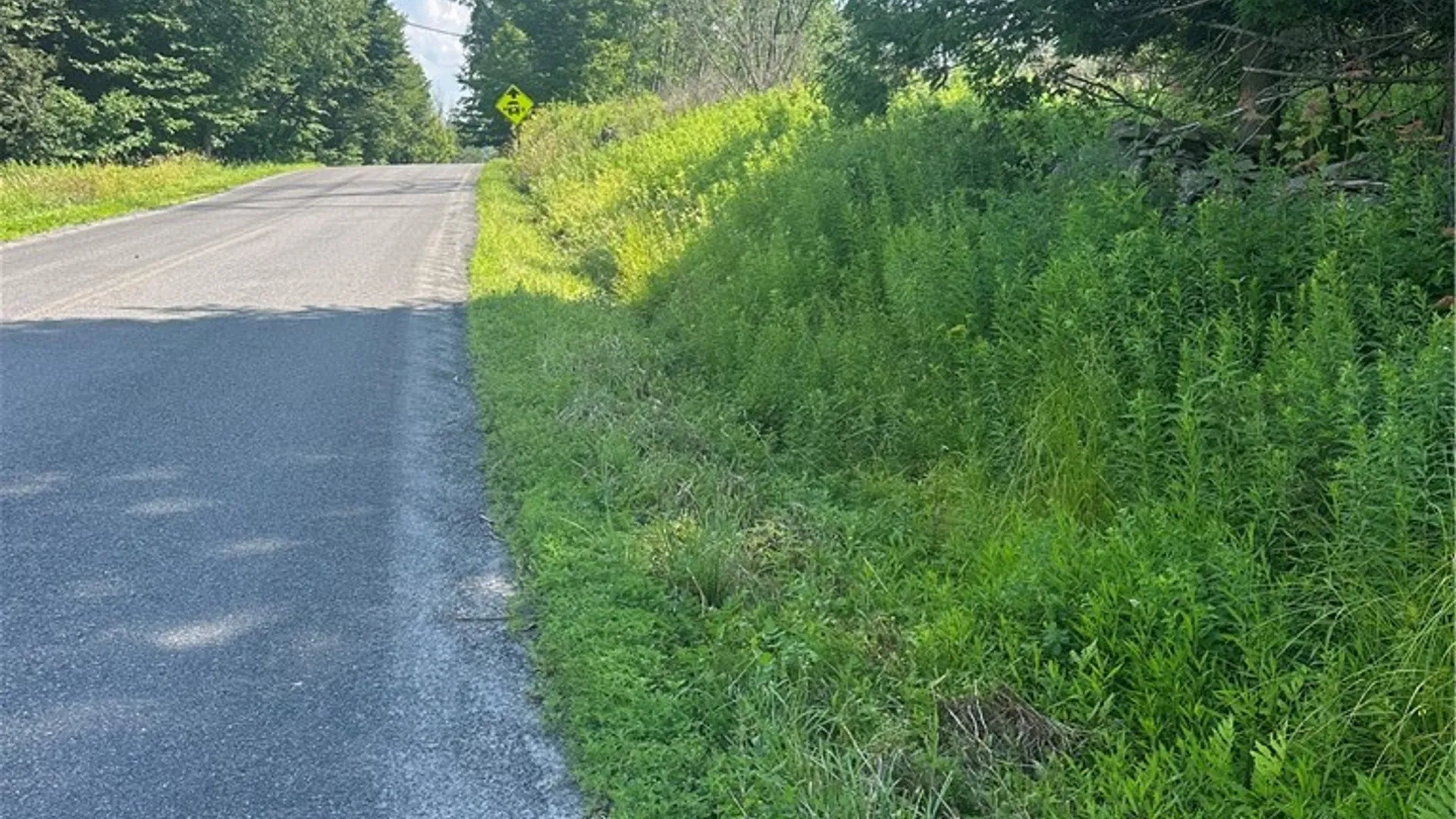 Property at Lot 173.-3-7 Guinea Road, Gilboa, NY 12076 7