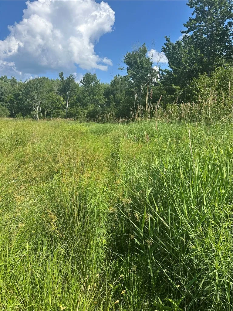 Property at Lot 173.-3-7 Guinea Road, Gilboa, NY 12076