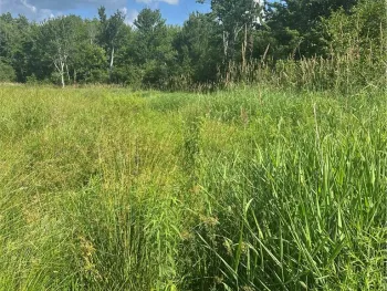 Property at Lot 173.-3-7 Guinea Road, Gilboa, NY 12076