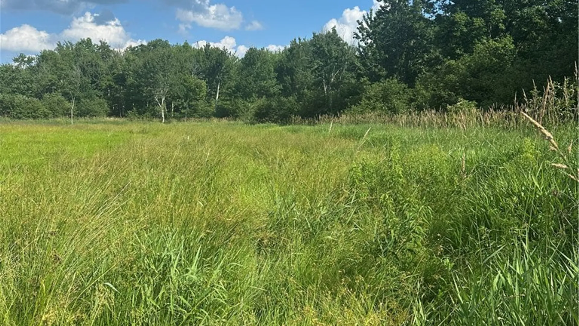 Property at Lot 173.-3-7 Guinea Road, Gilboa, NY 12076 9