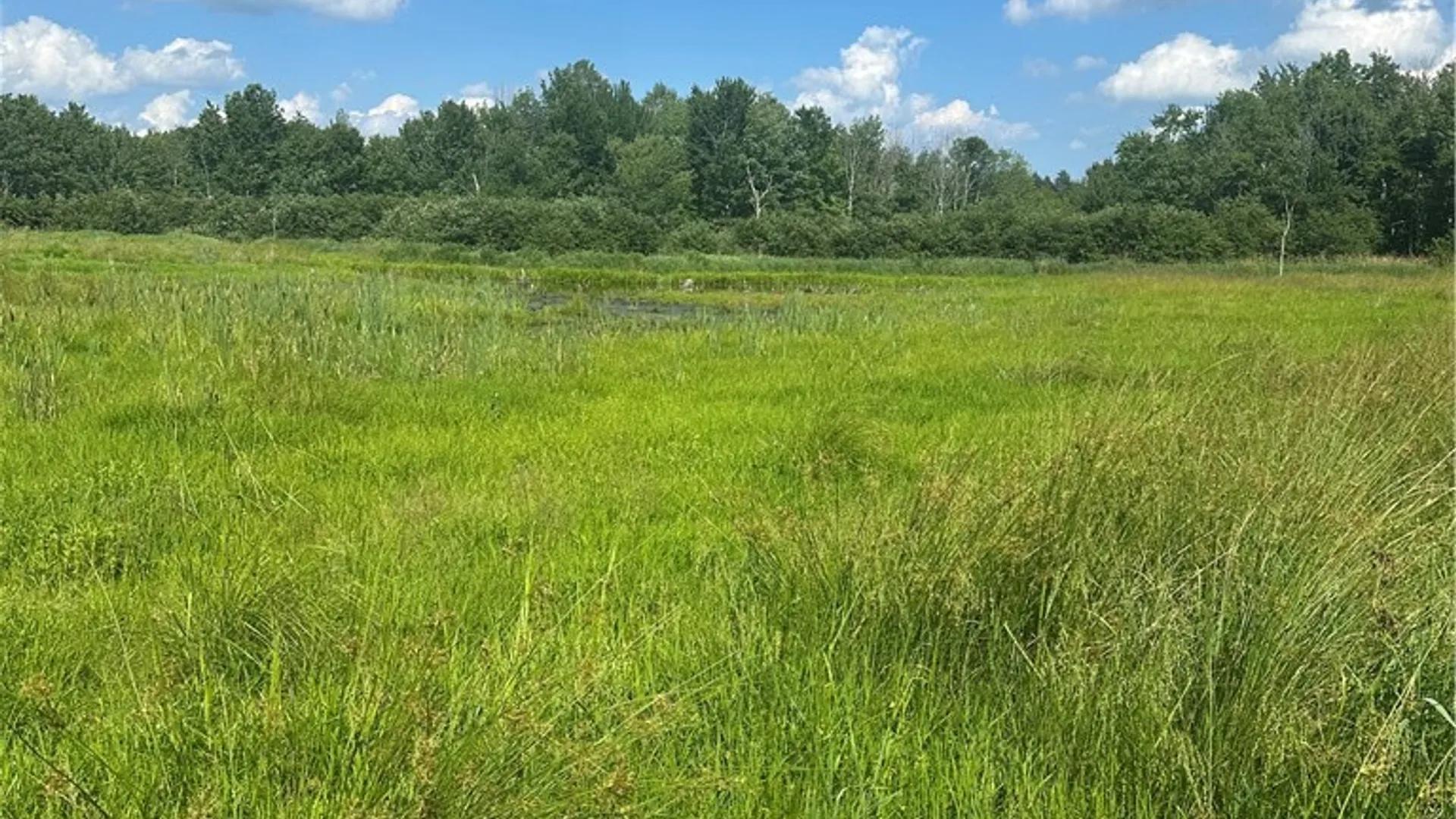 Property at Lot 173.-3-7 Guinea Road, Gilboa, NY 12076 10