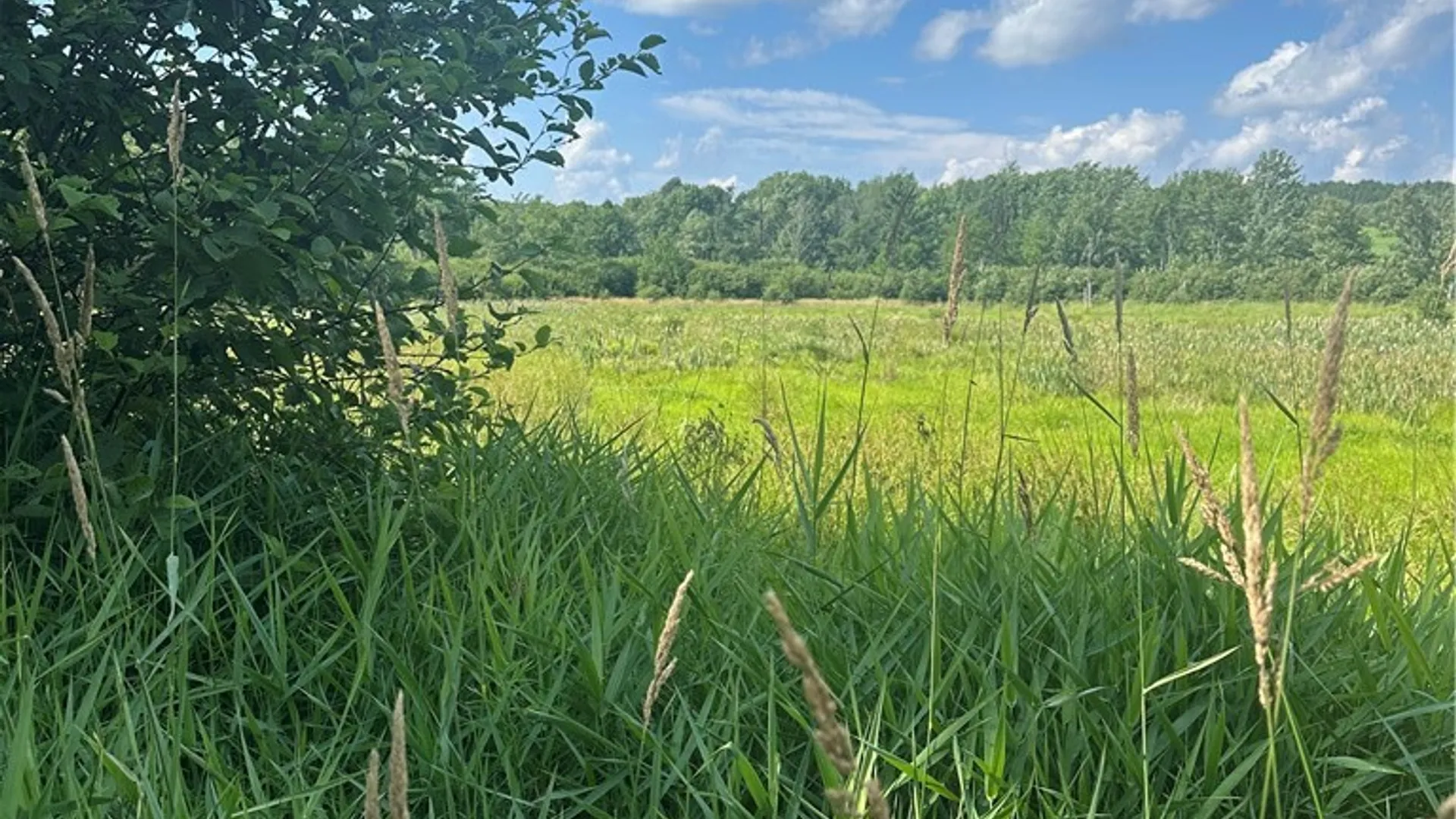 Property at Lot 173.-3-7 Guinea Road, Gilboa, NY 12076 14